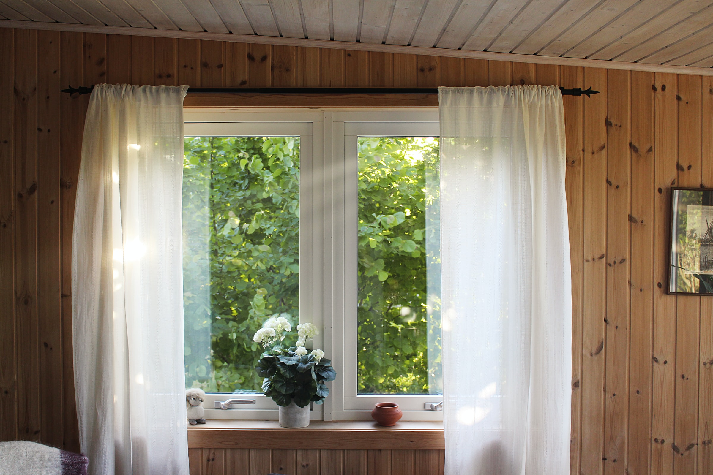 向外望向树林的窗户。窗户的两边都有白色的窗帘。窗台上有一个橙色的碗和一个花瓶。